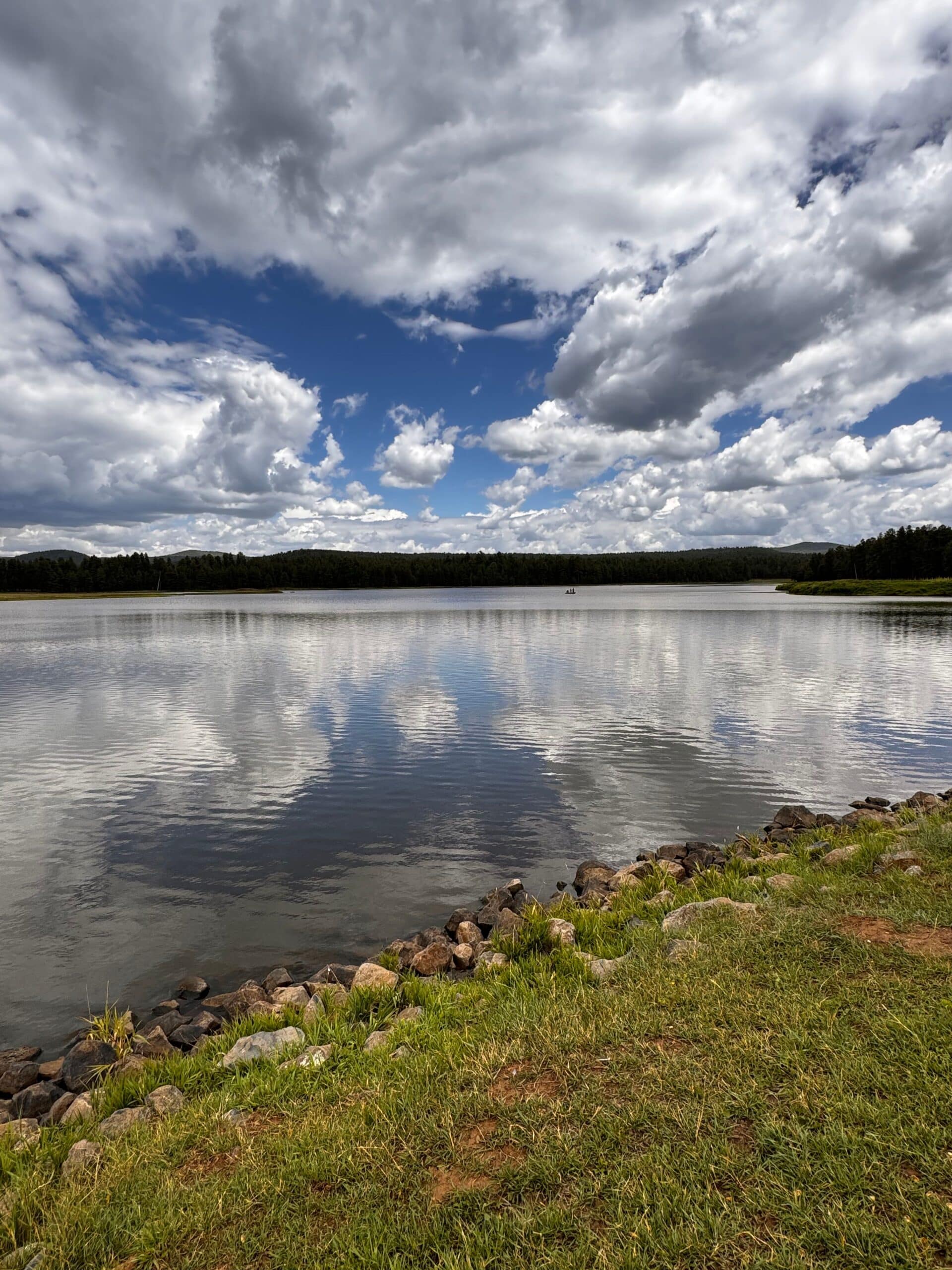 Roto-Rooter Best Sewer Drain Cleaning near Show Low, AZ